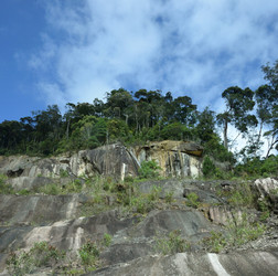 Similar image 21784955