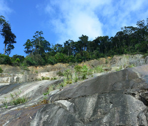 Similar image 21784956