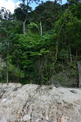 Similar image 21784958