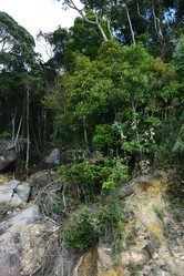 Similar image 21784959