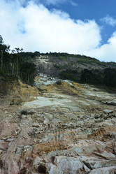 Similar image 21784961