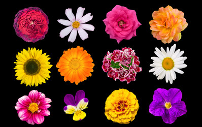 Similar image 21784981