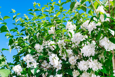 Similar image 21786416