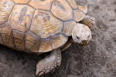 Similar image 21784984