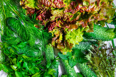 Similar image 21784985