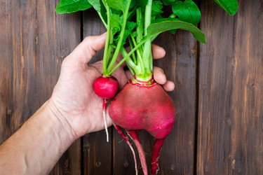 Similar image 21784986