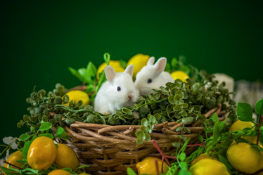 Similar image 21785711