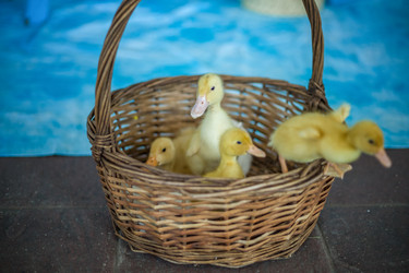 Similar image 21785712