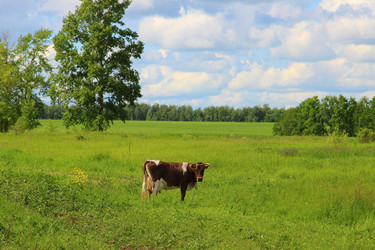 Similar image 21784776