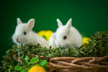 Similar image 21785733