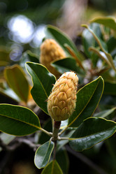 Similar image 21785942