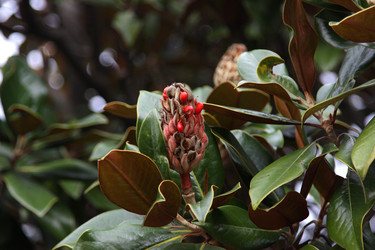 Similar image 21785943