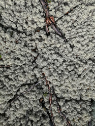 Similar image 21785082