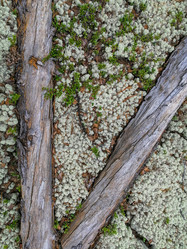 Similar image 21785083