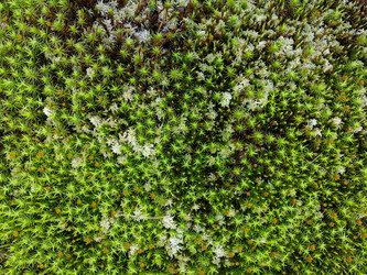 Similar image 21785085