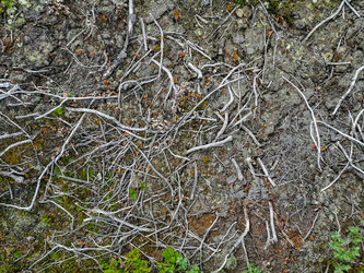 Similar image 21785086