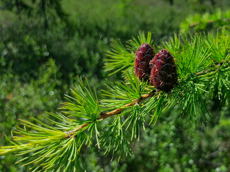 Similar image 21785091