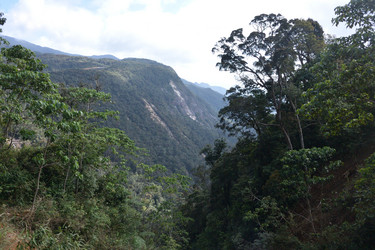 Similar image 21785114