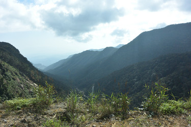 Similar image 21785116