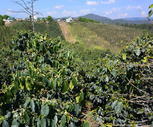 Similar image 21785118