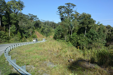 Similar image 21785119