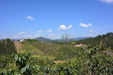 Similar image 21785120