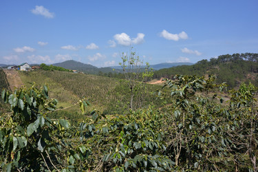 Similar image 21785121