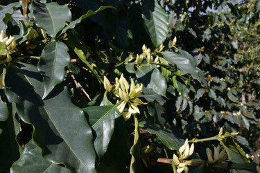 Similar image 21785123