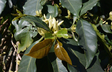 Similar image 21785124