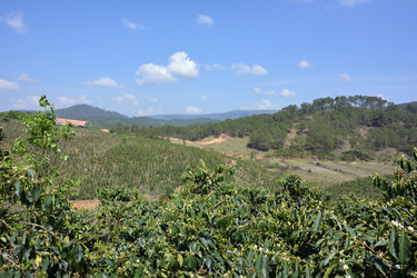 Similar image 21785125