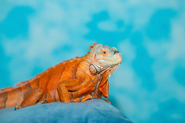 Similar image 21785765