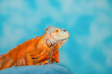 Similar image 21785766