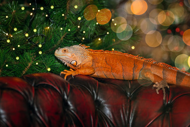 Similar image 21785767