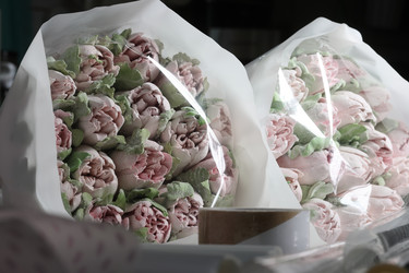 Similar image 21785160