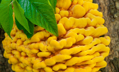 Similar image 21786420