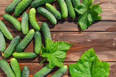 Similar image 21785183