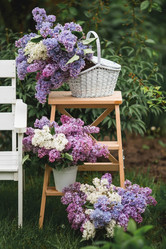 Similar image 21785185