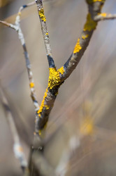 Similar image 21785186