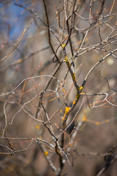 Similar image 21785188