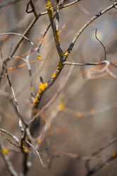 Similar image 21785523