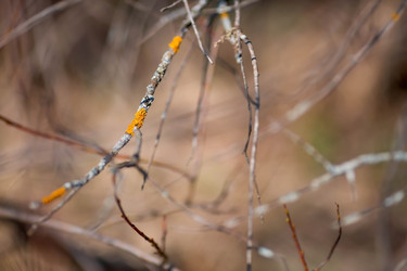 Similar image 21785525