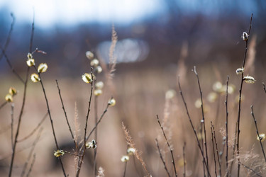 Similar image 21785529