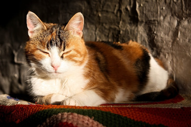 Similar image 21785531