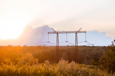 Similar image 21785534