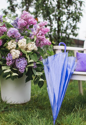 Similar image 21785537