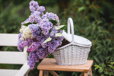 Similar image 21785539