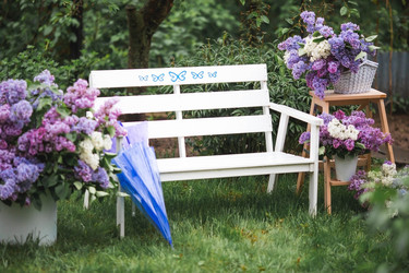 Similar image 21785557