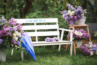 Similar image 21785558