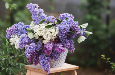 Similar image 21785559