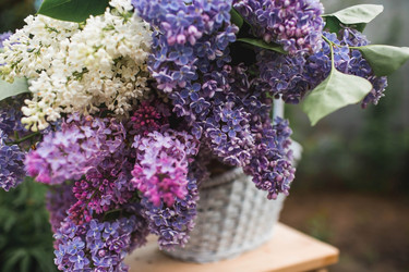 Similar image 21785560